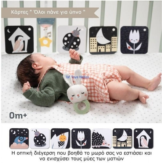 Taf Toys Babyspielzeug Schlafset für 0++ Monate