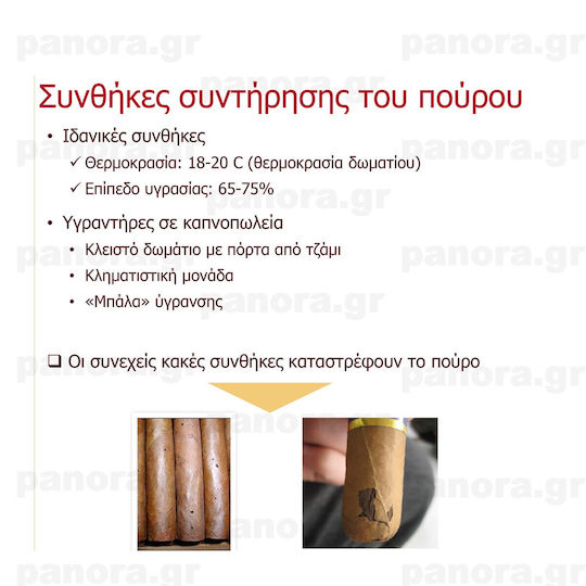 Πουρα Partagas Mini 10'