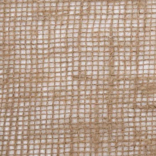 vidaXL Lace Jute Beige Length 15m