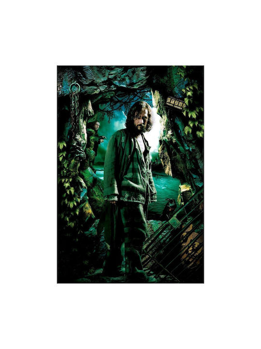 Αφίσα Harry Potter Sirius Black 90x61cm Αφίσα Harry Potter Sirius Black 90x61cm