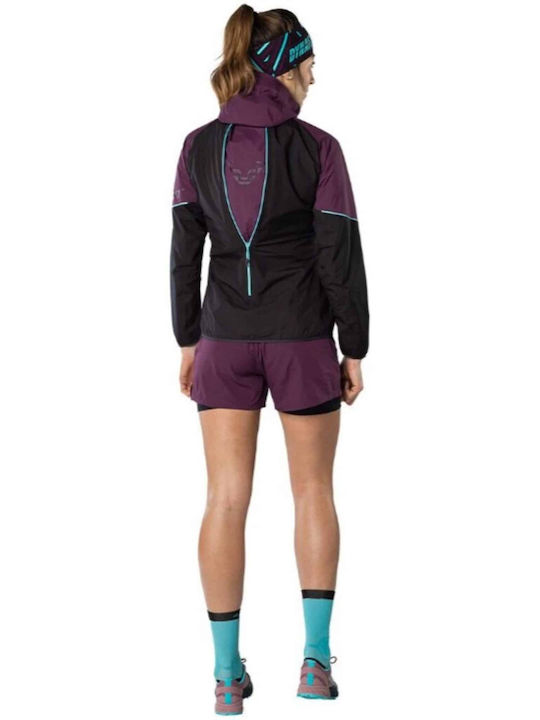 Dynafit Women's Running Long Lifestyle Hardshell Jacket Waterproof and Windproof for Winter with Hood Royal Purple