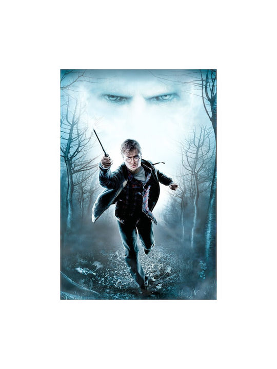 Αφίσα Harry Potter Deathly Hallows 61x90cm Αφίσα Harry Potter Deathly Hallows 61x90cm
