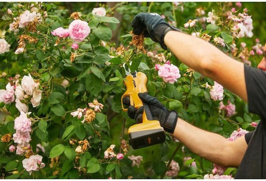 Stiga Stephane Domergue Pruning Shears Battery 20V Brushless with Maximum Cutting Diameter 30mm