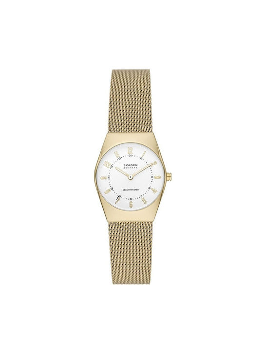 Skagen Ceas cu Aur Brățară Metalică SKW3077