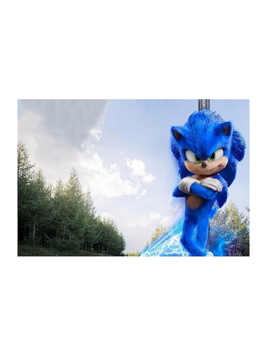 Sonic Hedgehog 2020 Poster 61x90cm Poster484