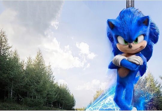Sonic Hedgehog 2020 Poster 61x90cm Poster484