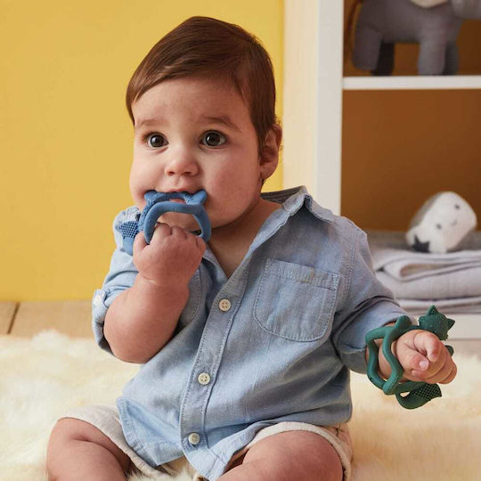 B.box Mασητικό Οδοντοφυΐας Καρπού Fox Lullaby Blue 3m+