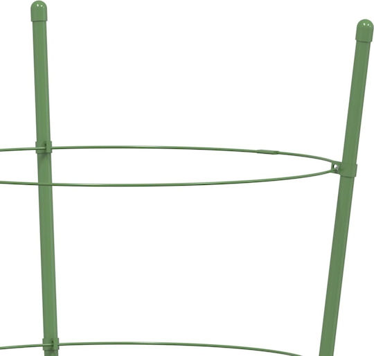 Garden Plant Stakes 3 Rings 5 Pcs Green 60 cm Steel 21.5 x 60 cm