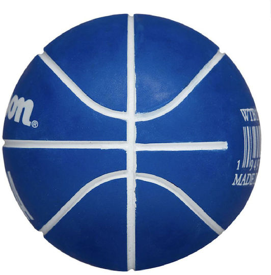 Wilson Dribbler Ball