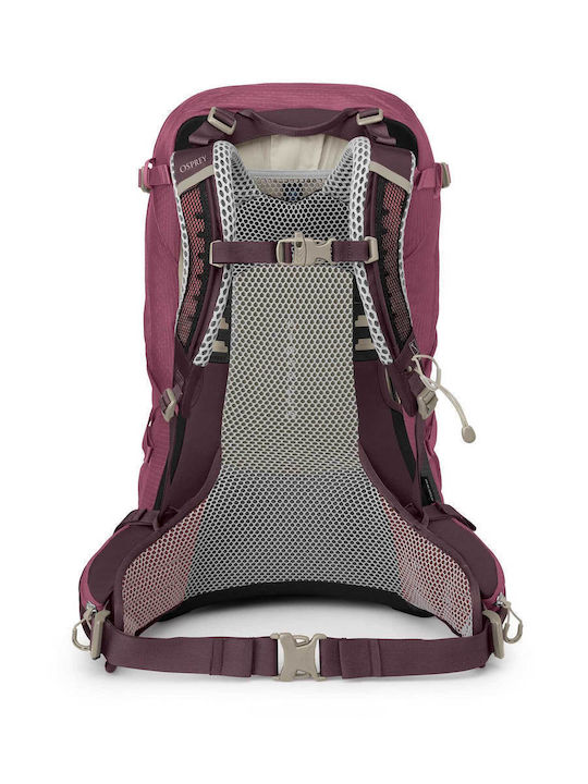 Osprey Sirrus 34 Bergsteigerrucksack 34Es Lila