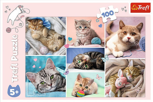 Puzzle pentru Copii In The Cats World pentru 5+ Ani 100buc Trefl