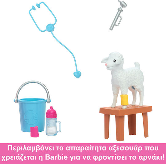 Barbie Veterinarian Collectible Doll For 3+ Years