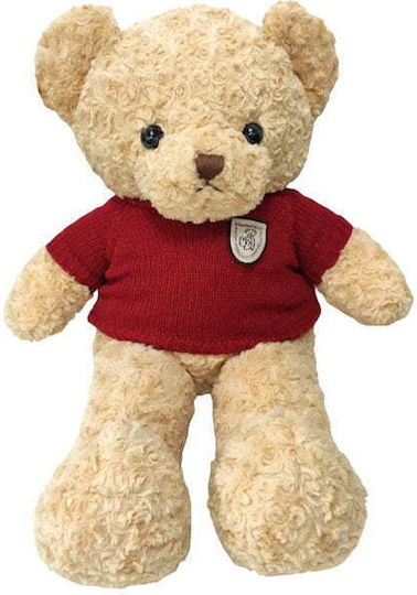 Teddy Plüschbär 65 cm (Verschiedene Designs) 1Stück
