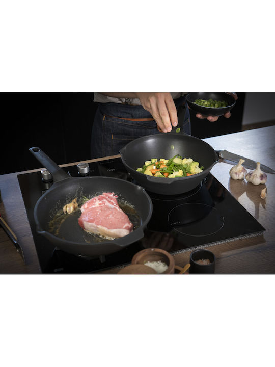 Tefal Robusto Pan made of Cast Aluminum with Non-Stick Coating 24cm