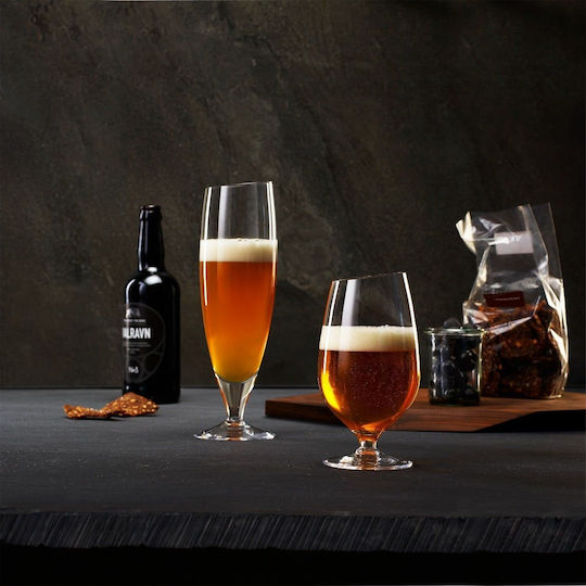 Eva Solo Set of Glasses Beer, μπίρας made of Glass 500ml 2pcs