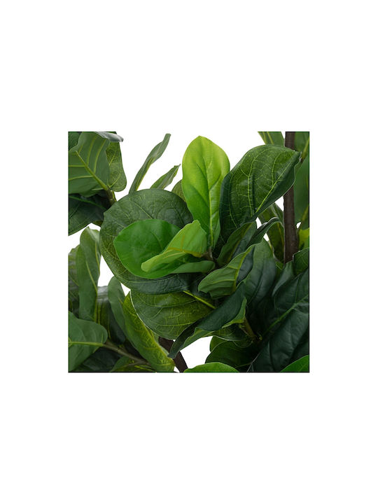 Дърво На Открито Fiddleleaf Tree Ficus Lyrata 180см Atmosphera