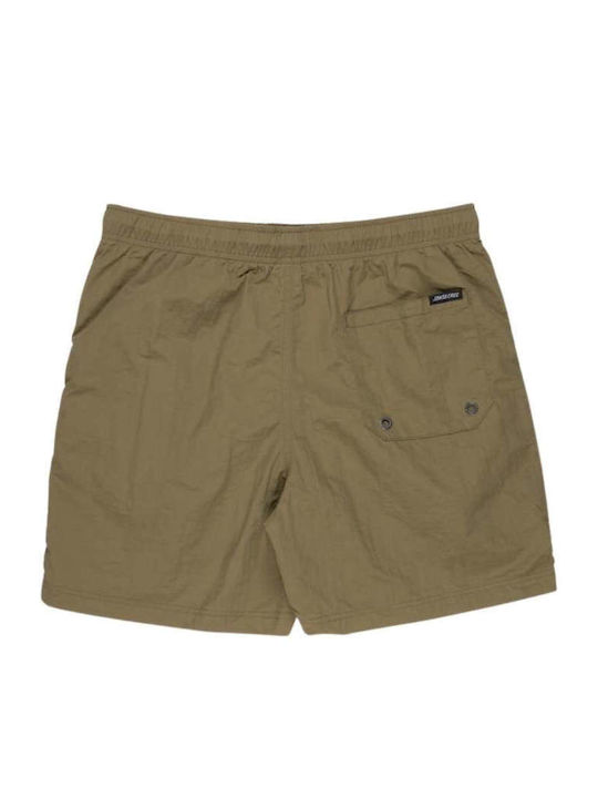 Men's Swimwear Shorts Green with Patterns