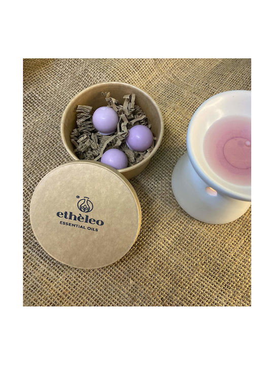Etheleo Duft-Wax Melt mit Duft Lavendel ETH0314 3Stück