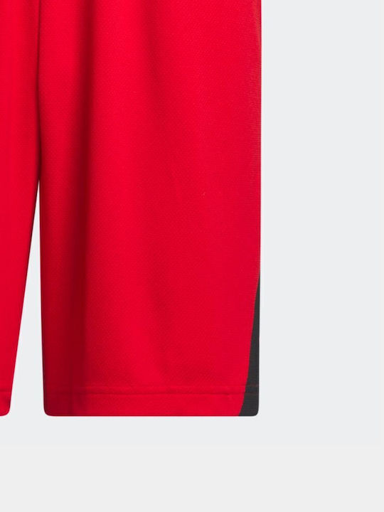 Badge of Sport Herren Shorts Rote