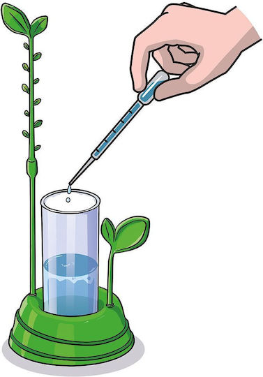 Learn Learn Create Lab Lernspiel My Garden 8+ Jahre