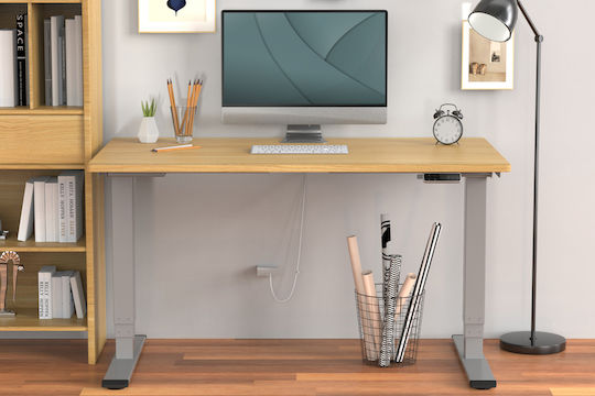 Digitus Bază de birou din Metal Grey