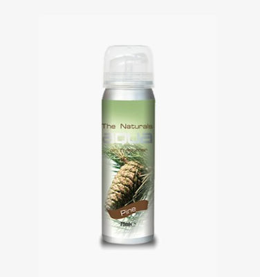 Aqua Car Air Freshener Spray Pine 75ml