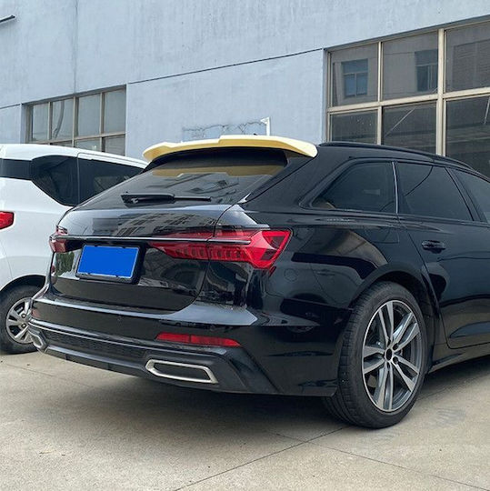 Dachspoiler aus Kunststoff Audi A6