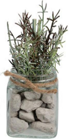 Artificial Potted Plant Transparent Koopman