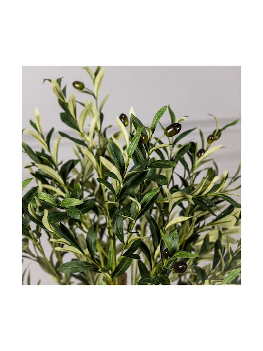 Ελιά Εξωτερικού Χώρου 130cm Supergreens