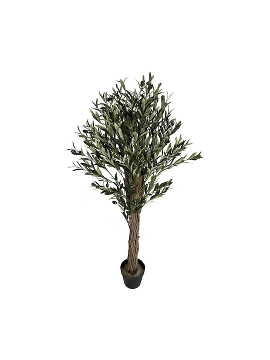 Ελιά Εξωτερικού Χώρου 130cm Supergreens