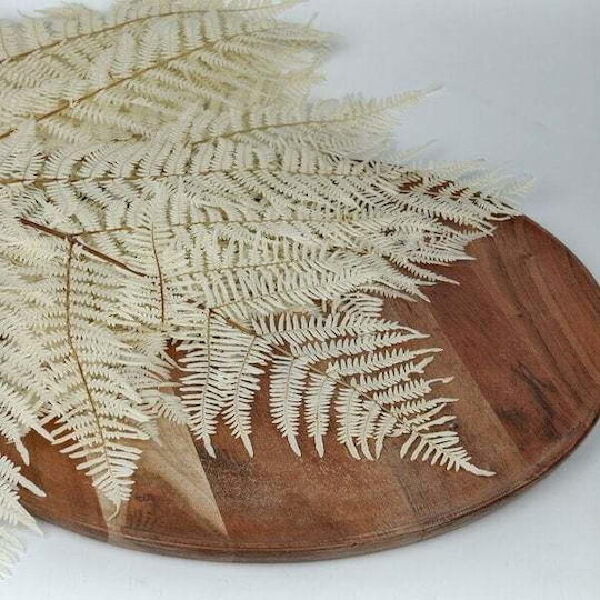 Dried Fern Plant Ecru HBX DECO B.V.