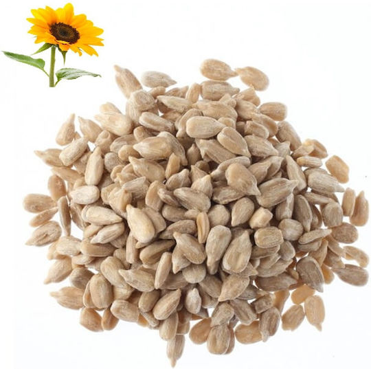 Panora Sunflower Seeds Roasted Peeled Salted 50gr