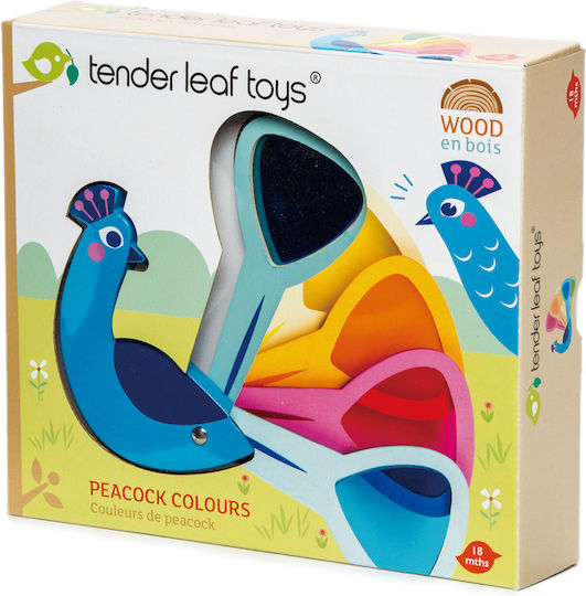Jucărie din lemn păun jucărie de sticlă colorată Ferestre de sticlă Culori de învățare Tender Leaf Toys