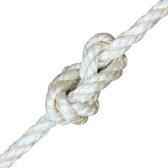 vidaXL Σχοινί Στριφτό 10mm 500m Σιζάλ 0.055kg