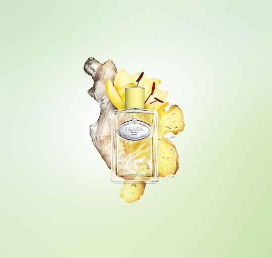 Prada Infusion De Gingembre Eau de Parfum 100ml