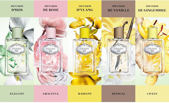 Prada Infusion De Gingembre Eau de Parfum 100ml