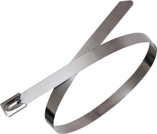 E-Sea Δεματικό Καλωδίων Πλαστικό 250mmx4.6mm σε Ασημί χρώμα (1τμχ) (25862)
