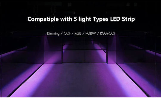 GloboStar Lampen Auto & Motorrad Extreme Truck Series BA15S / P21W Canbus LED Rot 12V 6W 1Stück