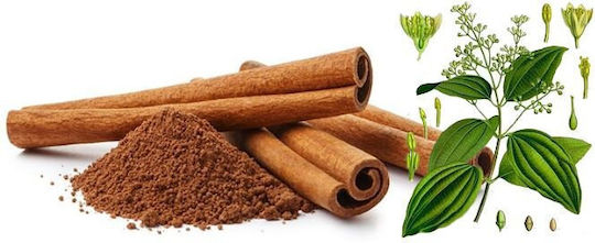 Zimtstange 8cm Vietnam Cassia Quang Ngai 10g
