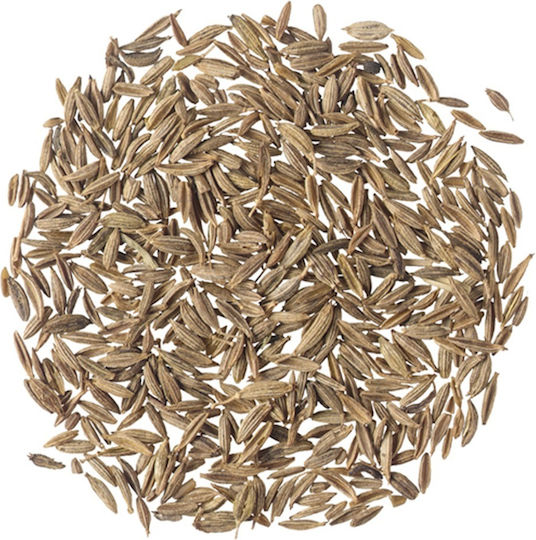 Indischer Kreuzkümmel Ganz 20 Gr