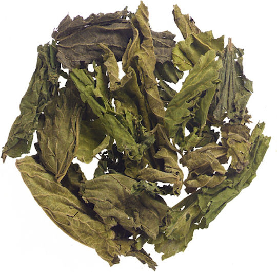 Nettle Leaves Cut Greece 20 Gr