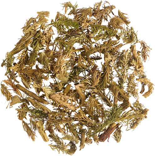 Lycopodium Lycopodium Plant Cut China 20 Gr