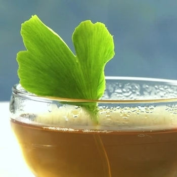 Ginkgo Biloba Ginkgo Biloba Leaf Cut Chinas 20 Gr