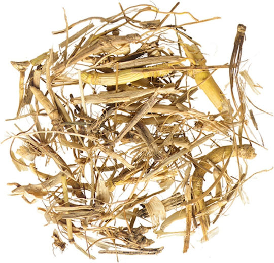Αγριαδα Ριζα Κομμενη 30 Gr