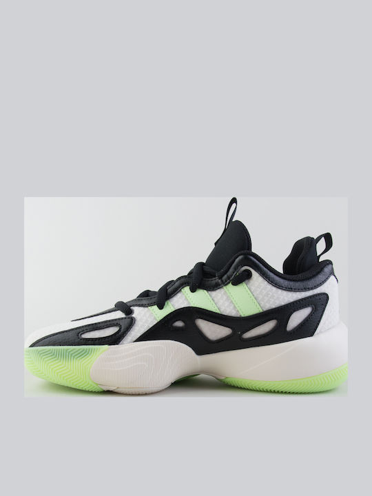 Trae Unlimited 2 Low Basketball Shoes Multicolour