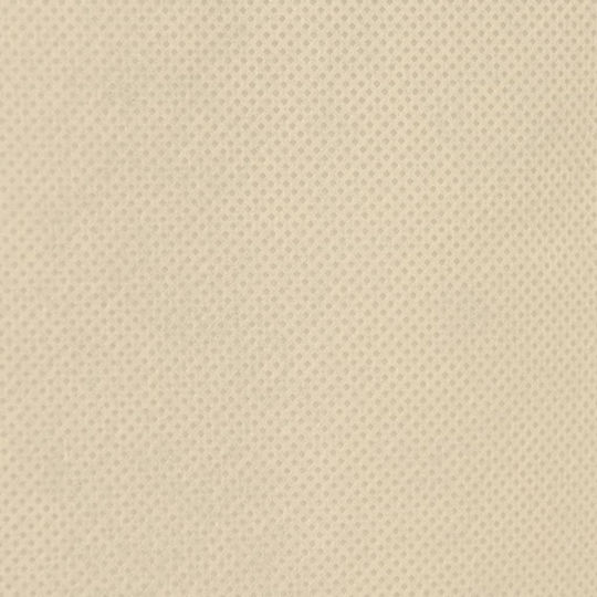 vidaXL 3203564 Αντιπαγετική Κουκούλα 70gr/m² 3.5x3.93m Μπεζ