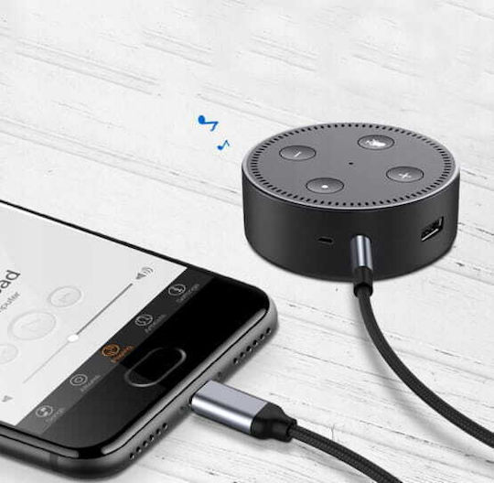 Zenwire Braided USB 2.0 Cablu USB-C bărbătesc - 3,5 mm male Auriu 1.5m (1027782007)