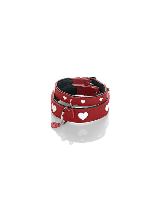 Hunter Dog Collar in Red color Medium