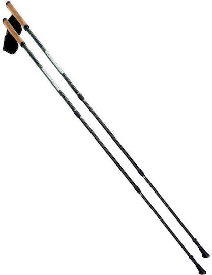 Elbrus Telescopice Baston de trekking din aluminiu 2 buc Gri