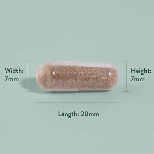 Holland & Barrett Κράταιγος 600mg 120 κάψουλες
